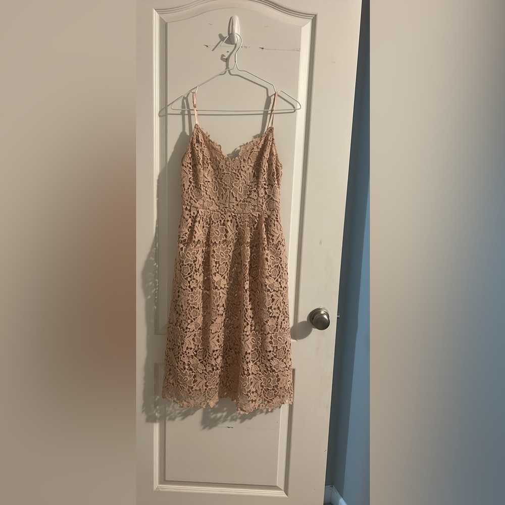 Elegant Lace Dress in Blush Pink
